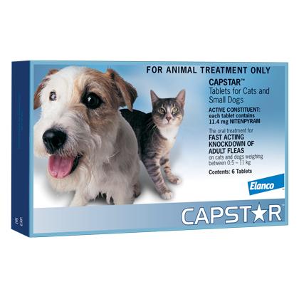 Capstar Flea Treatment for Dogs & Cats