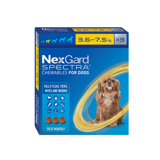NexGard Spectra Chewables for Small Dogs 3.6-7.5kg