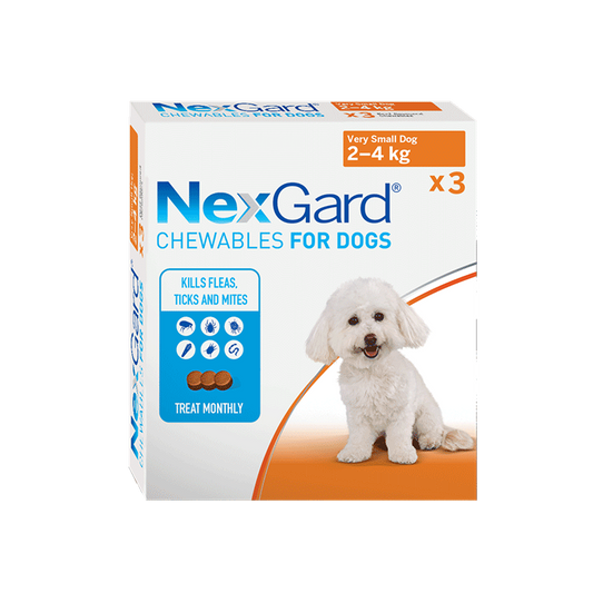 Nexgard Chewable Treatment for Extra Small Dogs 2-4kg