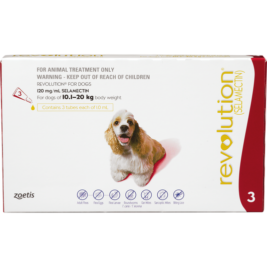 Revolution Spot-On Flea Treatment for Medium Dogs 10-20kg