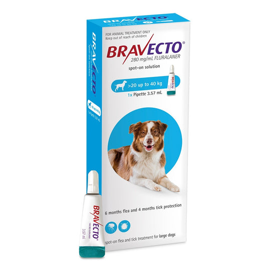 Bravecto Spot-On Flea & Tick Treatment for Large Dogs 20-40kg
