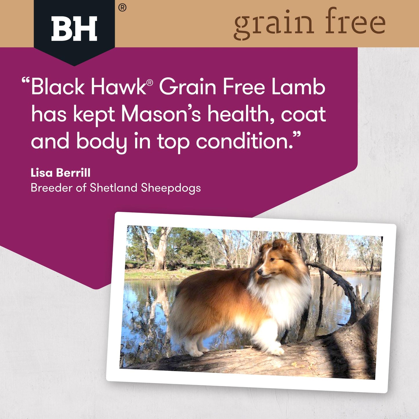 Black Hawk Grain Free Lamb Dry Dog Food
