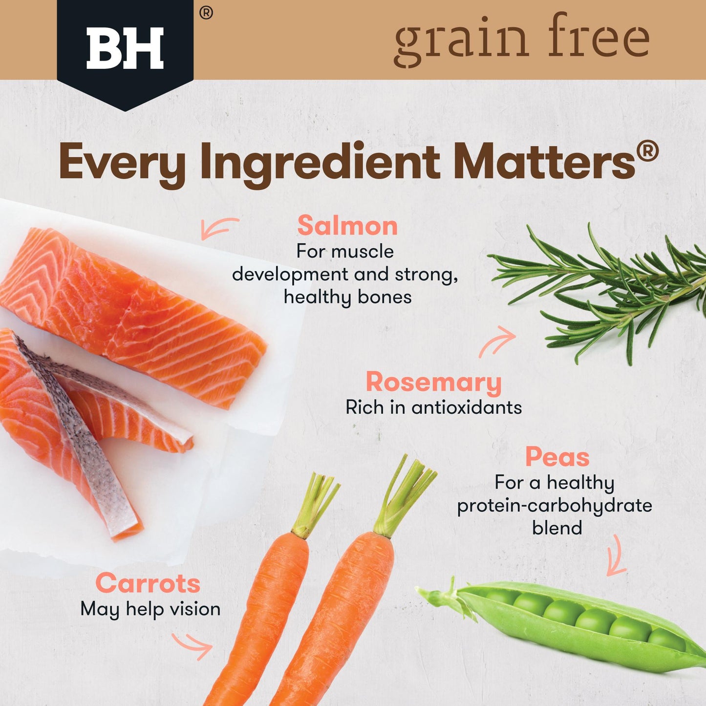 Black Hawk Grain Free Salmon Dry Dog Food