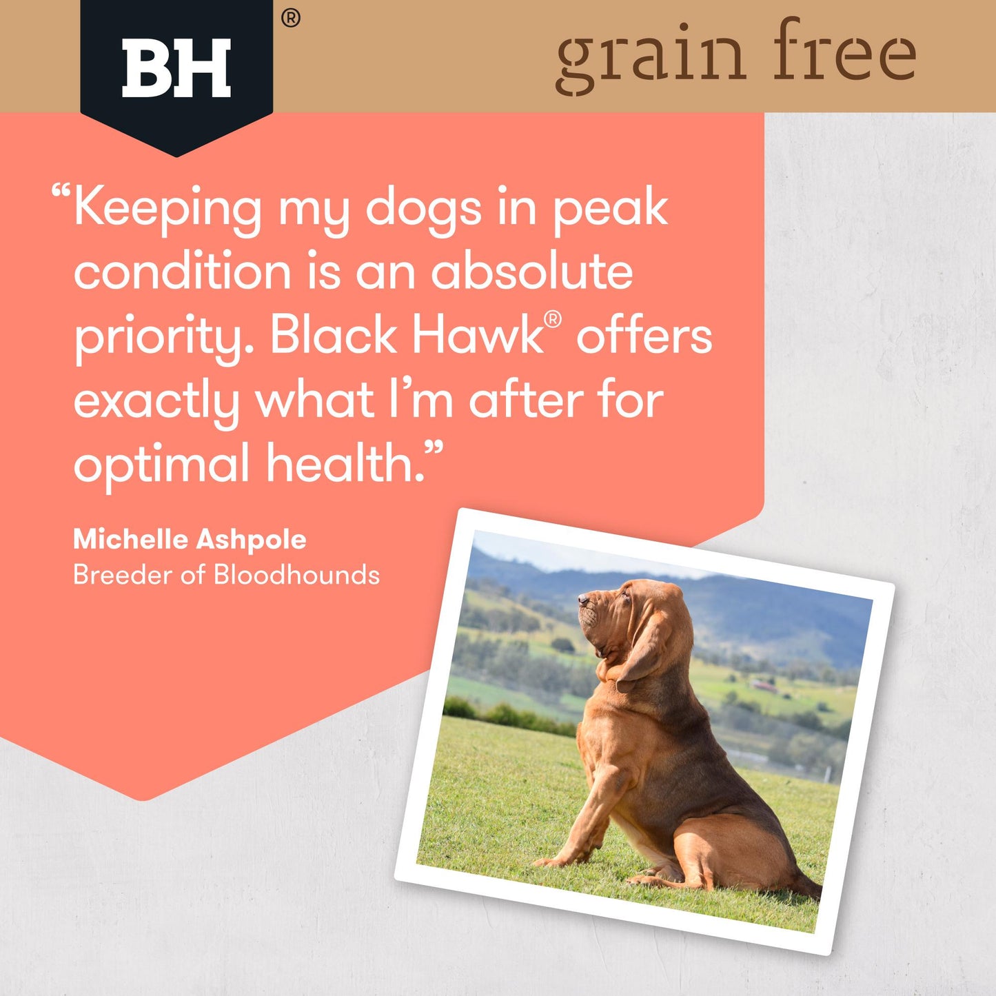 Black Hawk Grain Free Salmon Dry Dog Food
