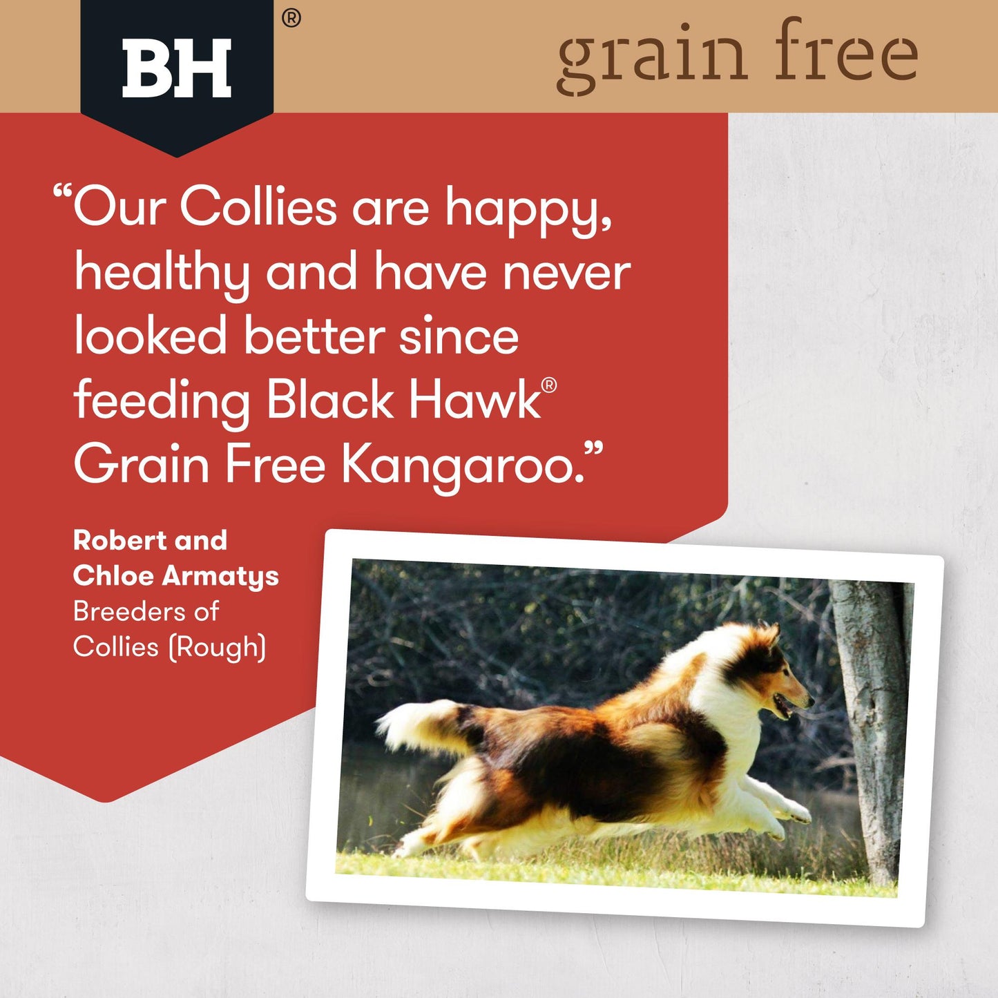 Black Hawk Grain Free Kangaroo Dry Dog Food
