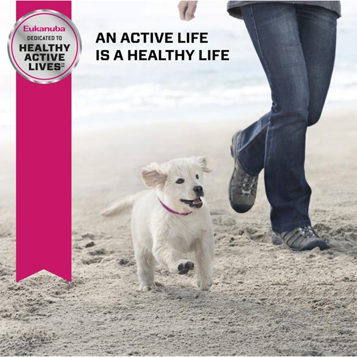 Eukanuba Puppy Medium Breed Dry Dog Food