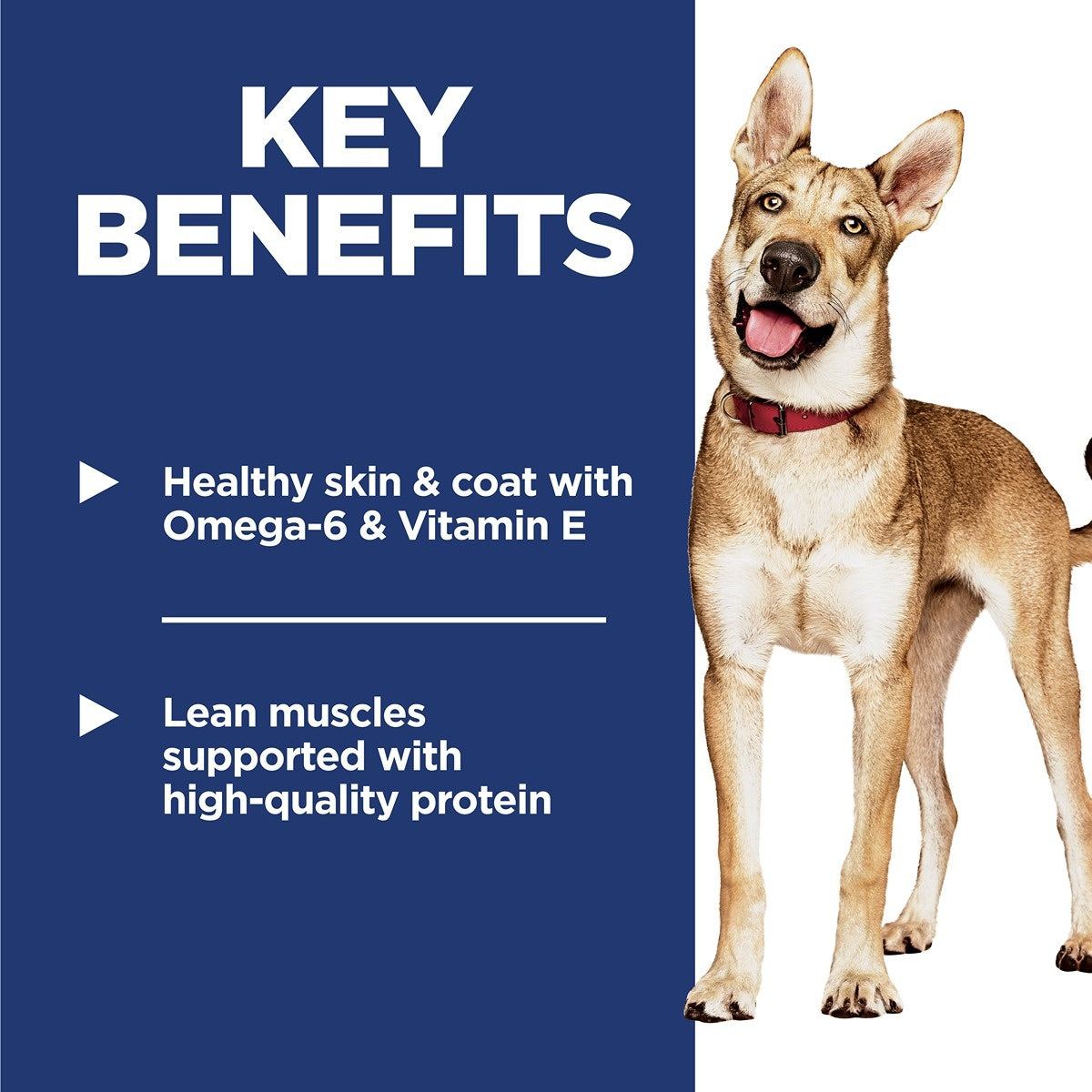 Hill's Science Diet Adult Chicken & Barley Dry Dog Food
