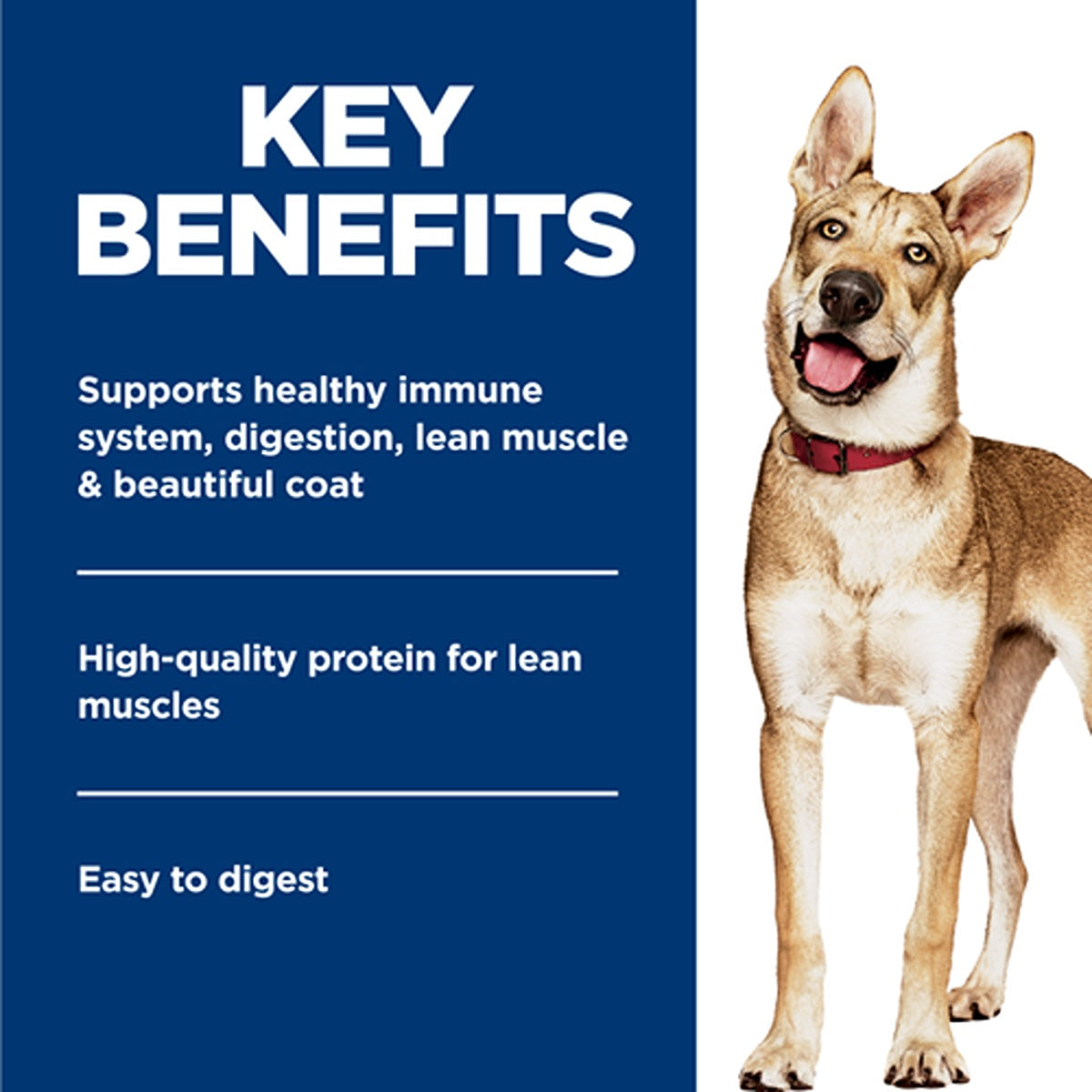 Hill's Science Diet Adult Savoury Stew Chicken and Vegetables Wet Dog Food