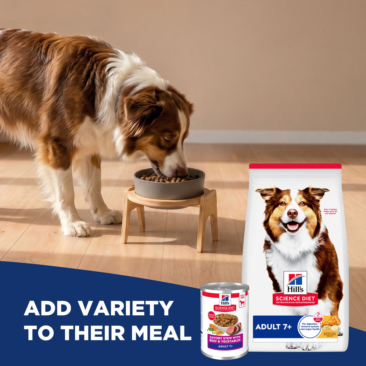 Hill's Science Diet Adult 7+ Savory Stew Beef & Vegetables Wet Dog Food