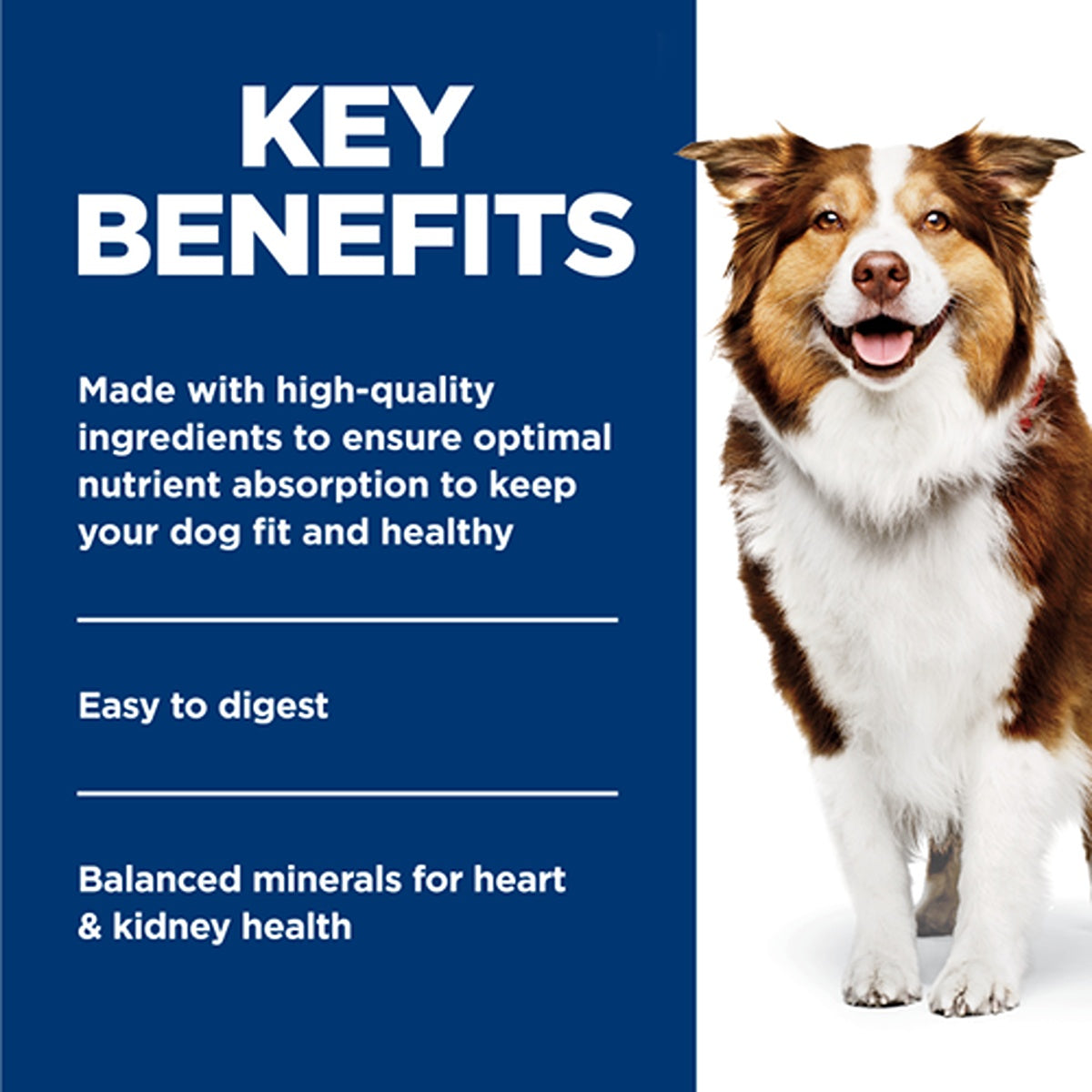 Hill's Science Diet Adult 7+ Savory Stew Beef & Vegetables Wet Dog Food