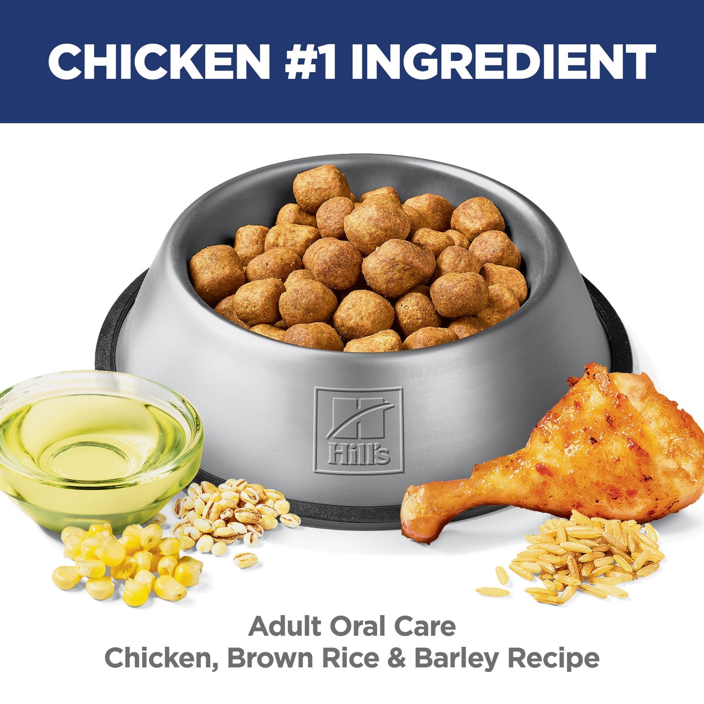 Hill's Science Diet Oral Care Dry Dog Food