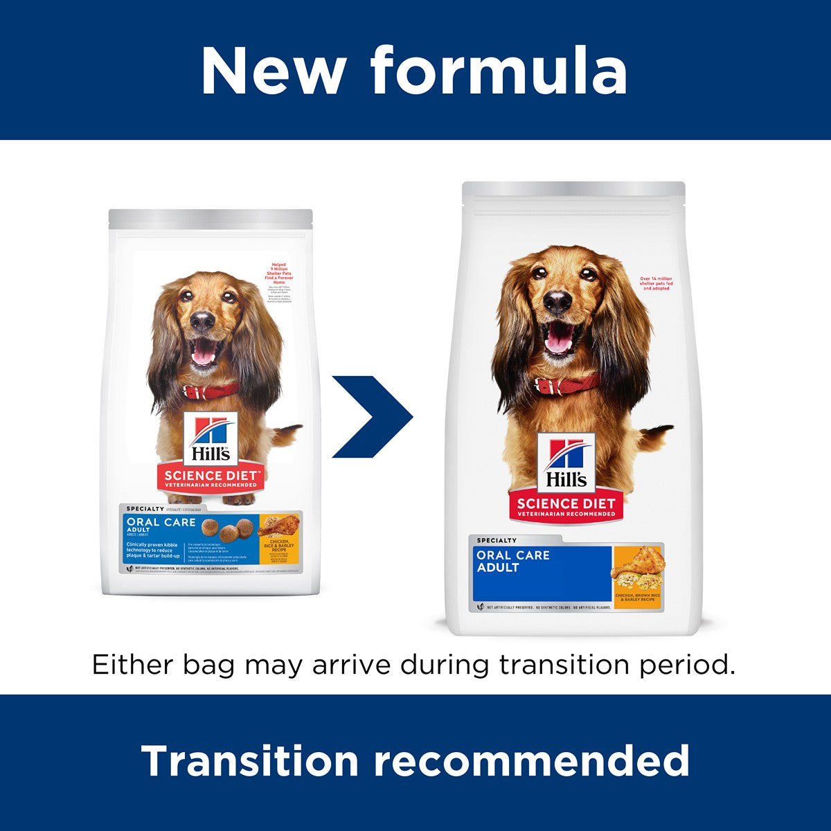 Hill's Science Diet Oral Care Dry Dog Food