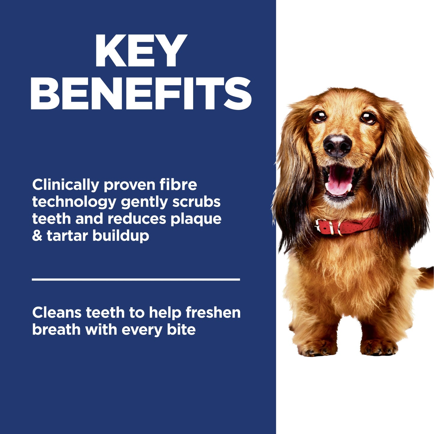 Hill's Science Diet Oral Care Dry Dog Food