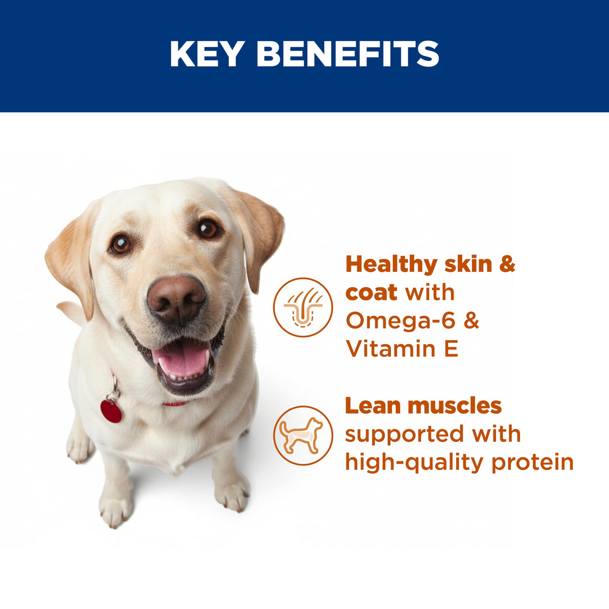 Hill's Science Diet Large Breed Light Dry Dog Food