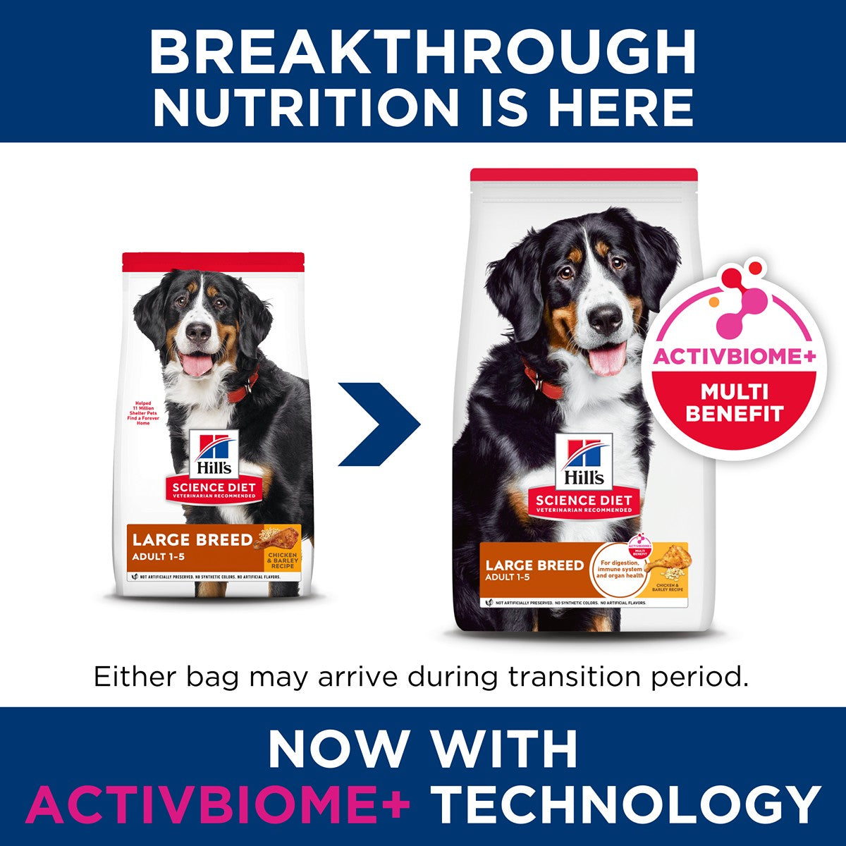 Hill's Science Diet Large Breed Adult Dry Dog Food