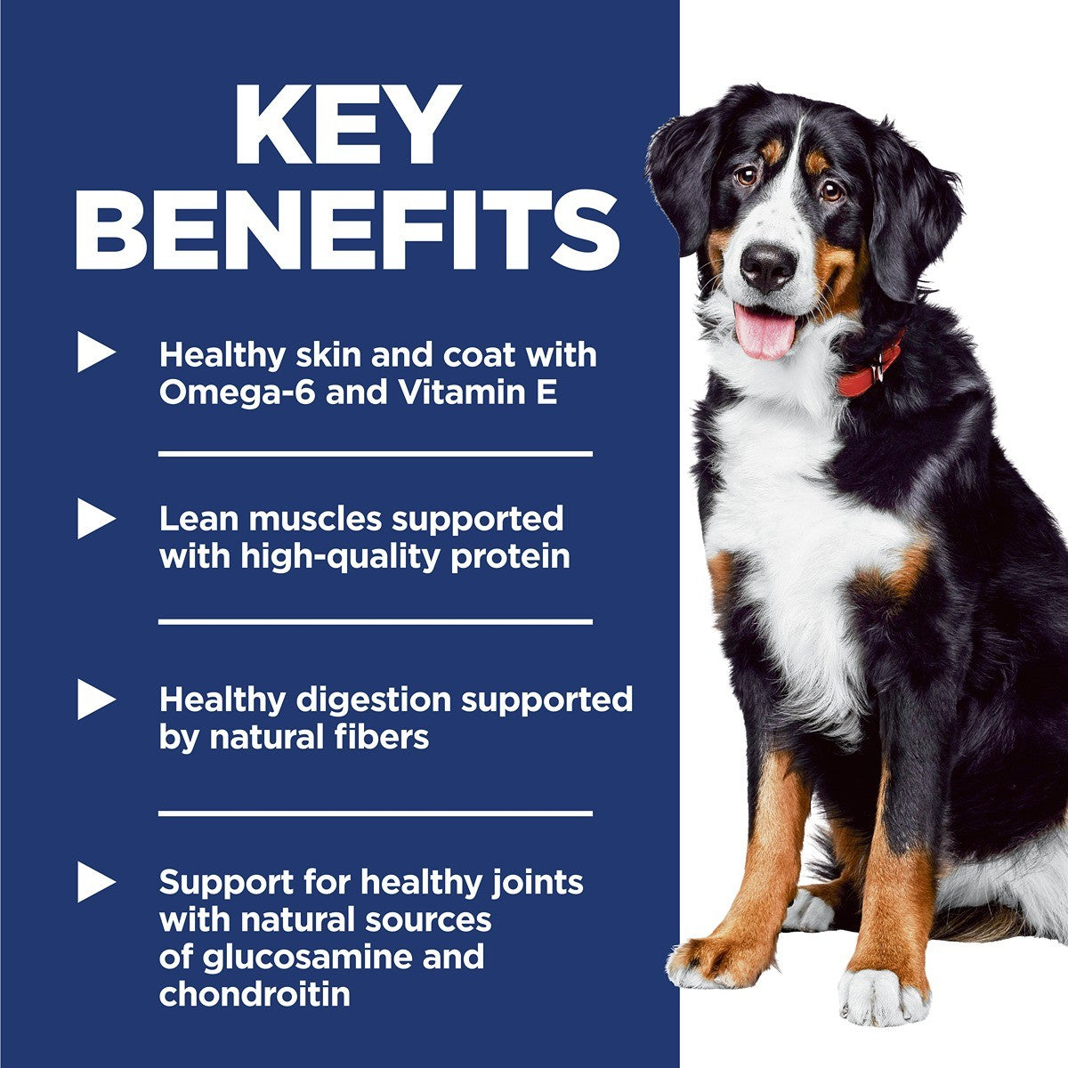Hill's Science Diet Large Breed Adult Dry Dog Food