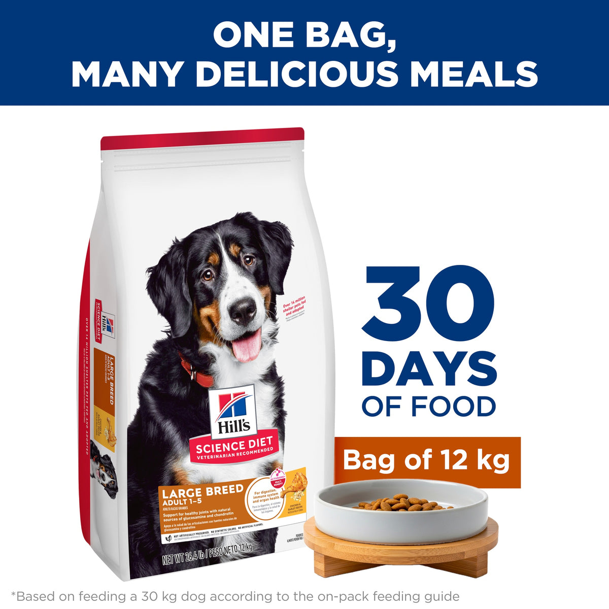 Hill's Science Diet Large Breed Adult Dry Dog Food