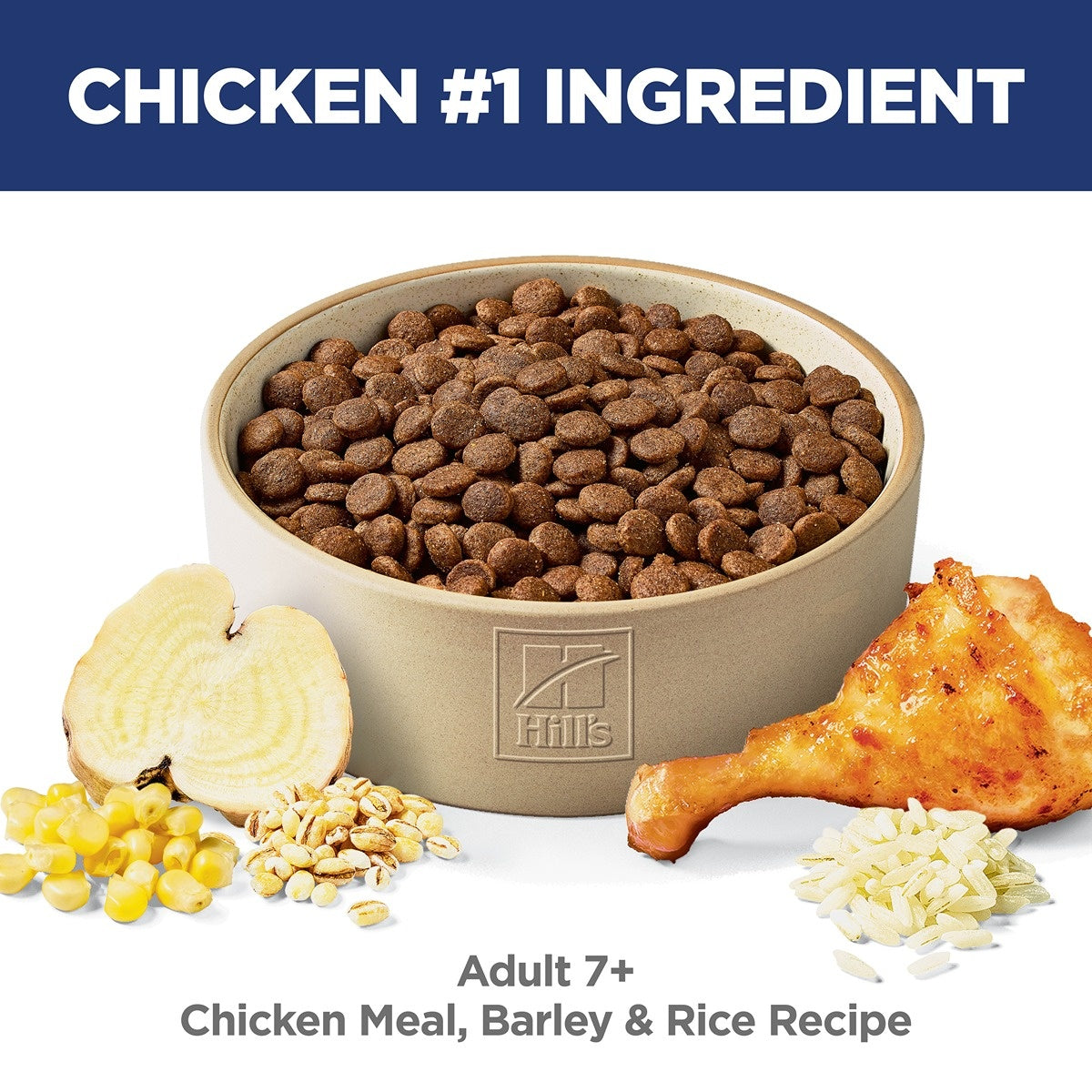 Hill's Science Diet Adult 7+ Senior Dry Dog Food
