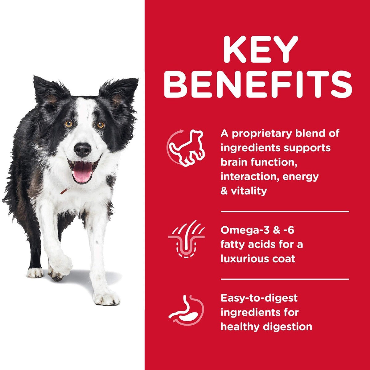 Hill's Science Diet Senior Vitality Adult 7+ Dry Dog Food