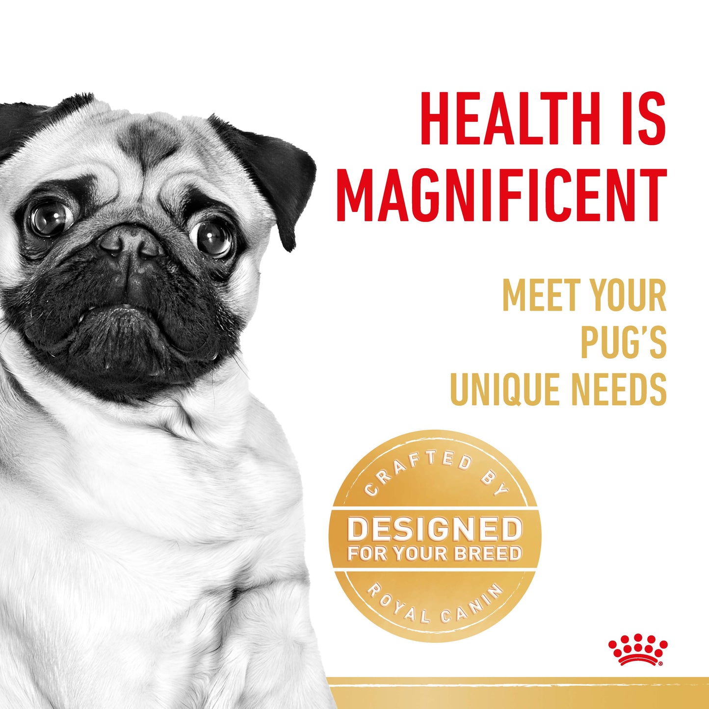 Royal Canin Pug Dry Dog Food