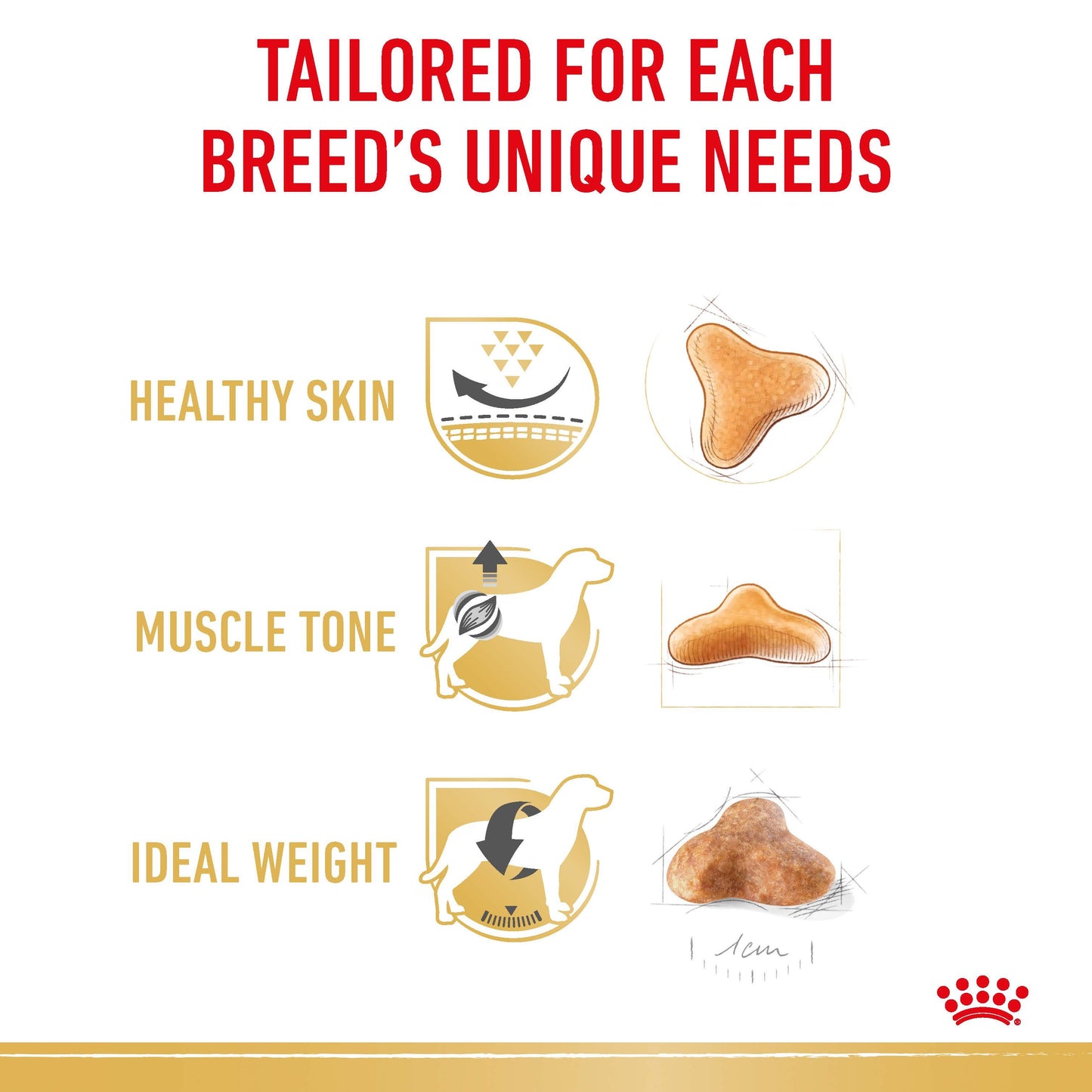 Royal Canin Pug Dry Dog Food