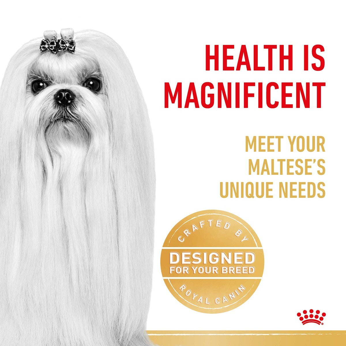 Royal Canin Dog Maltese Dry Dog Food