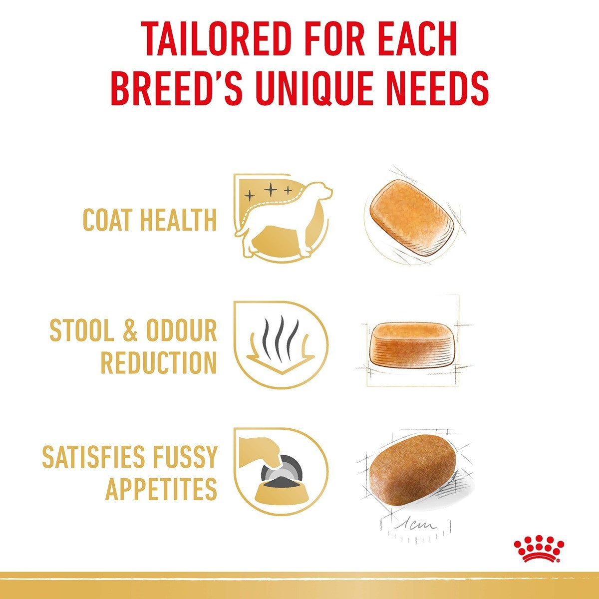 Royal Canin Dog Maltese Dry Dog Food