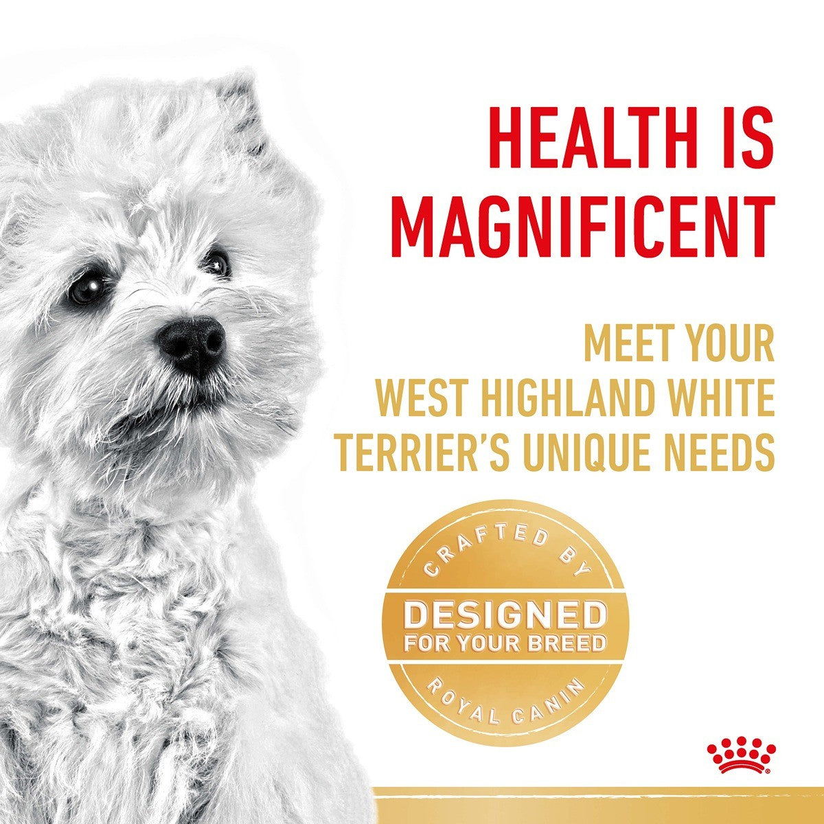 Royal Canin West Highland White Terrier Dry Dog Food