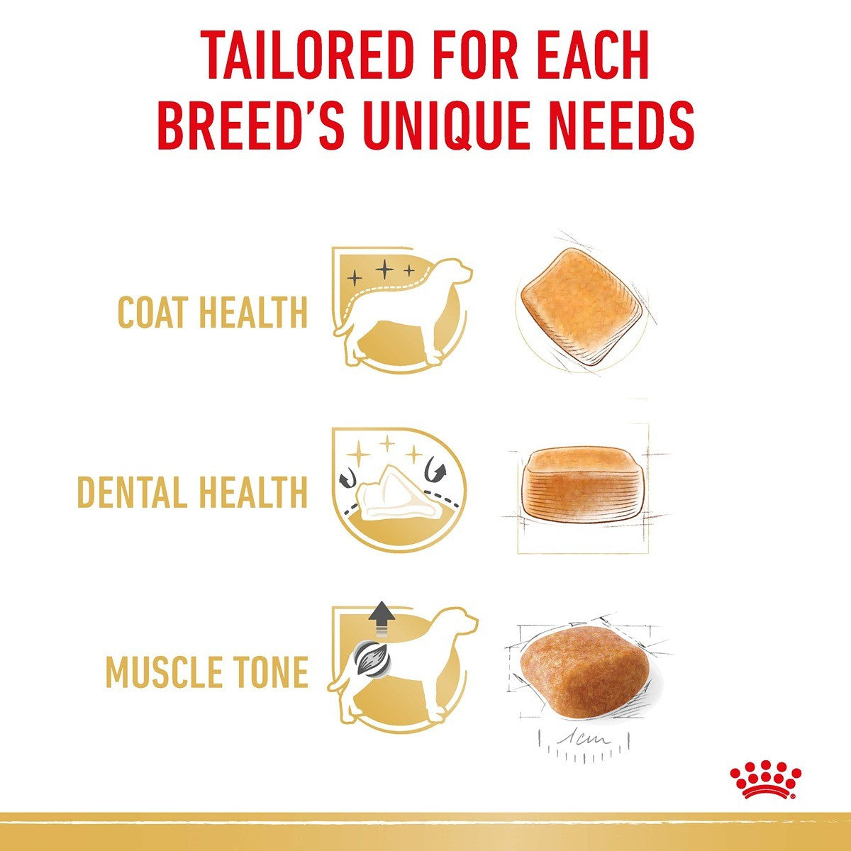 Royal Canin Breed Health Nutrition Poodle Adult Dry Dog Food
