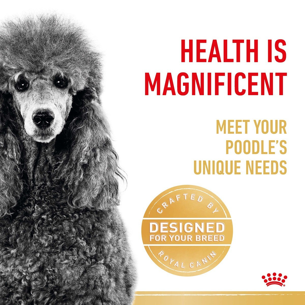 Royal Canin Breed Health Nutrition Poodle Adult Dry Dog Food