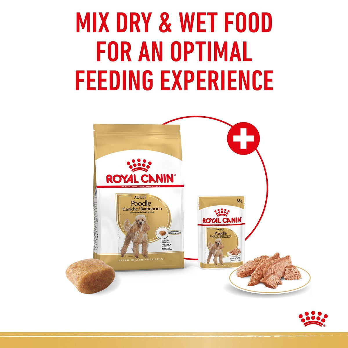 Royal Canin Breed Health Nutrition Poodle Adult Dry Dog Food