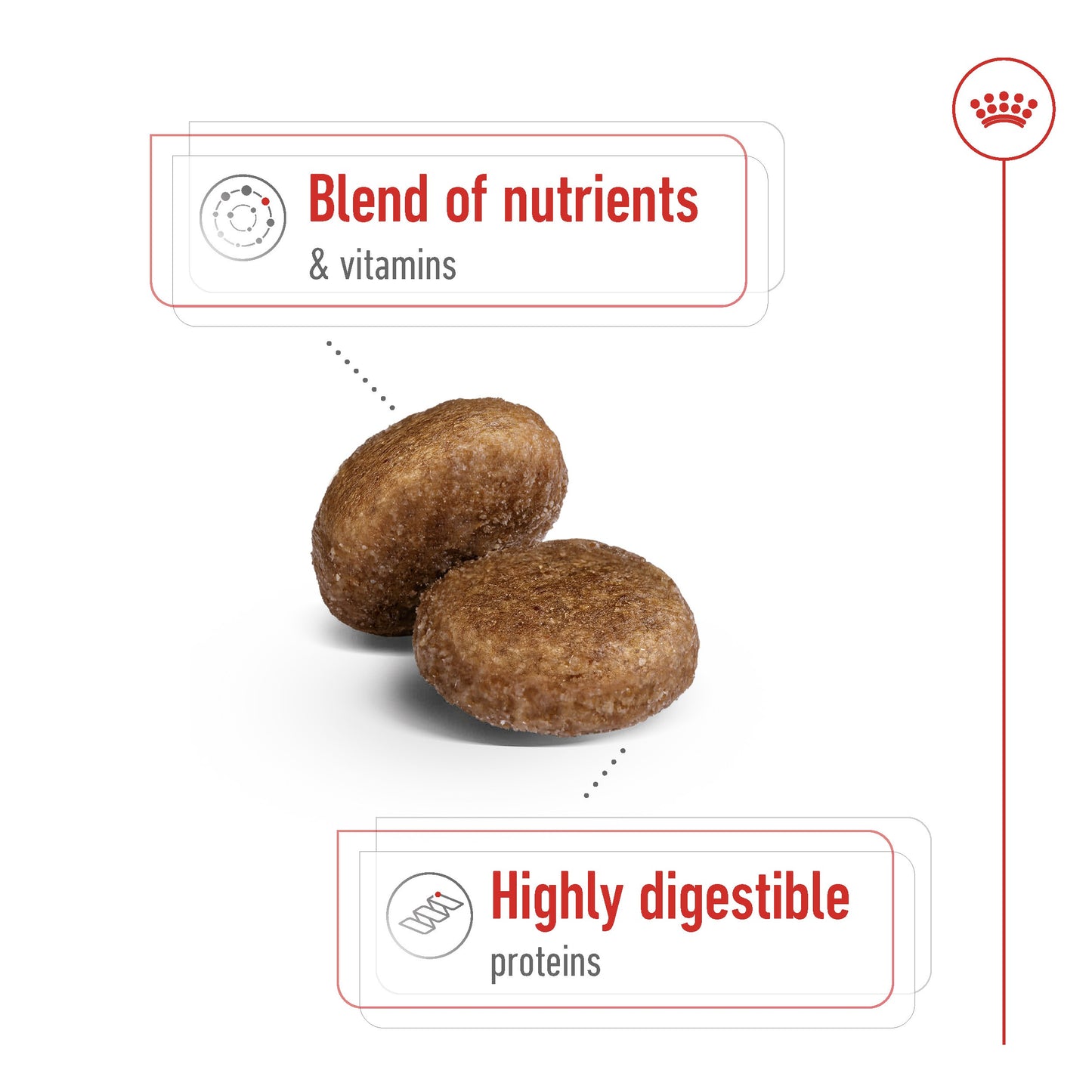Royal Canin Maxi Mature 5+ Dry Dog Food