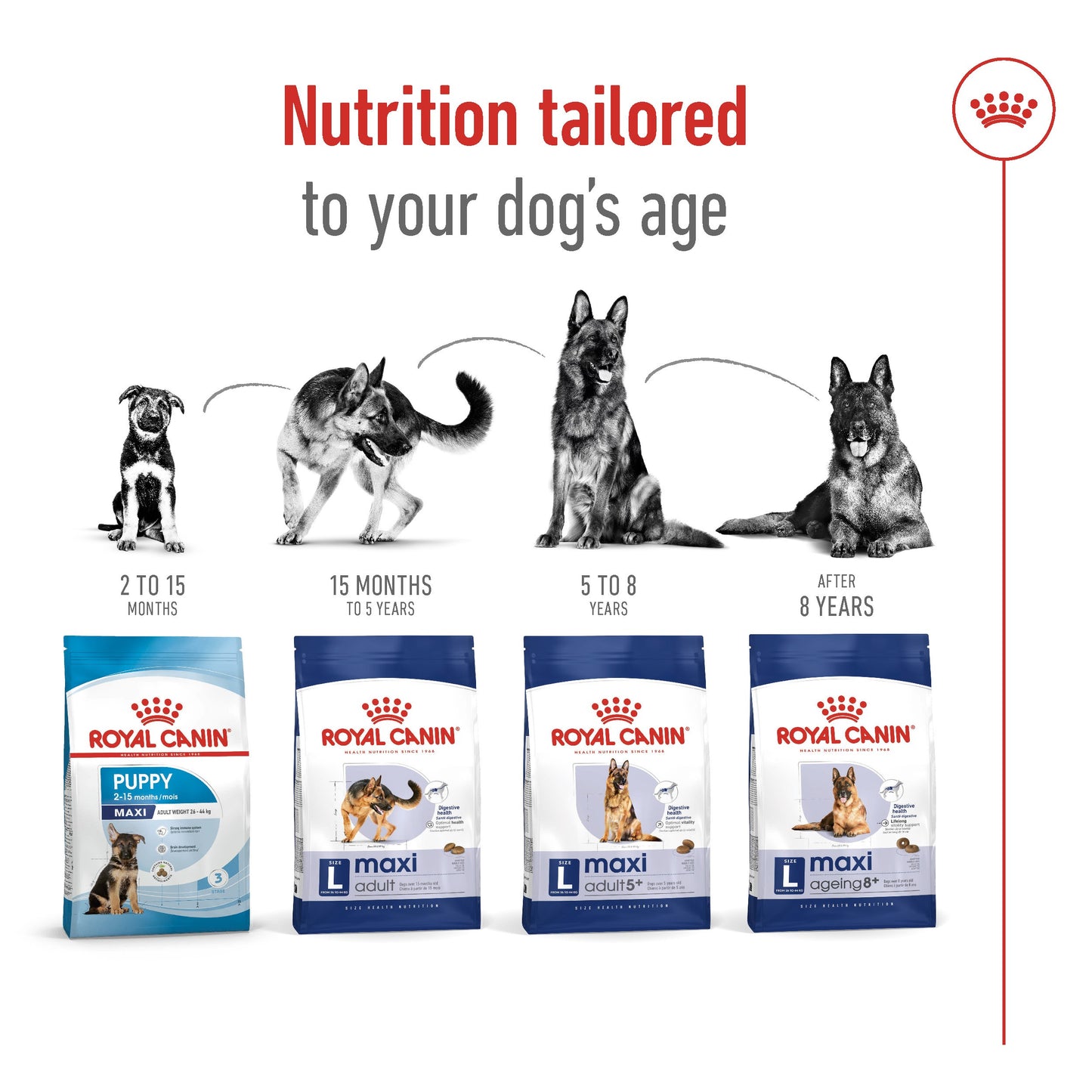 Royal Canin Maxi Mature 5+ Dry Dog Food