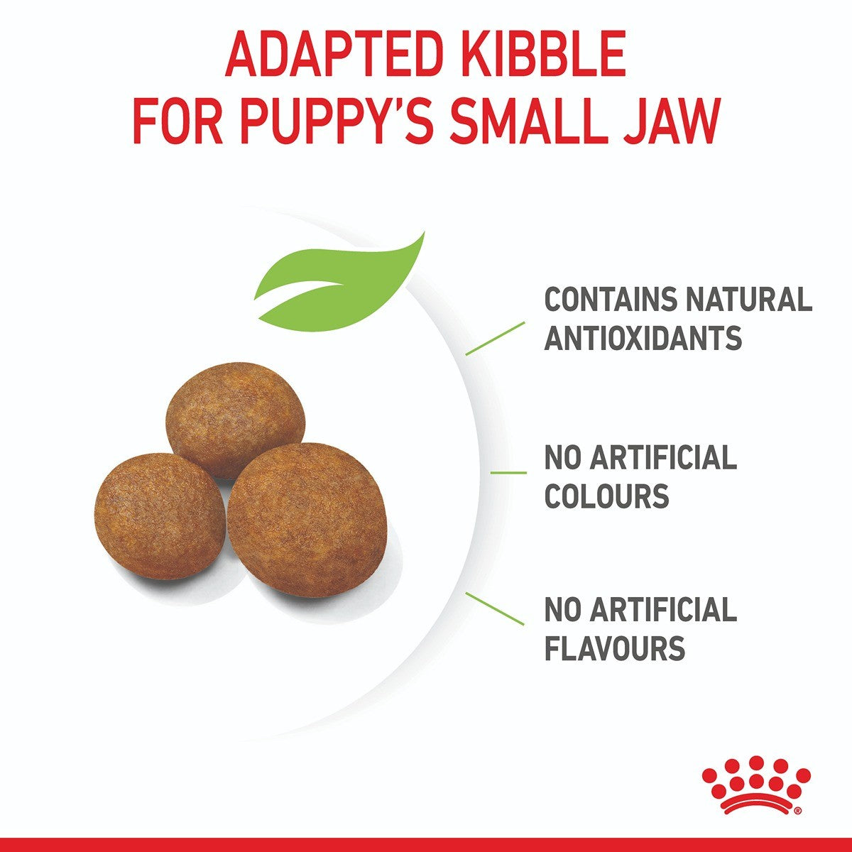 Royal Canin Giant Puppy Dry Dog Food