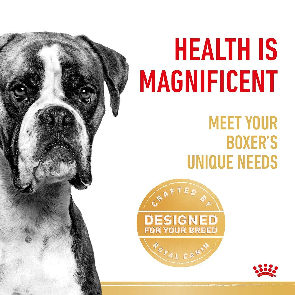 Royal Canin Boxer Dry Dog Food