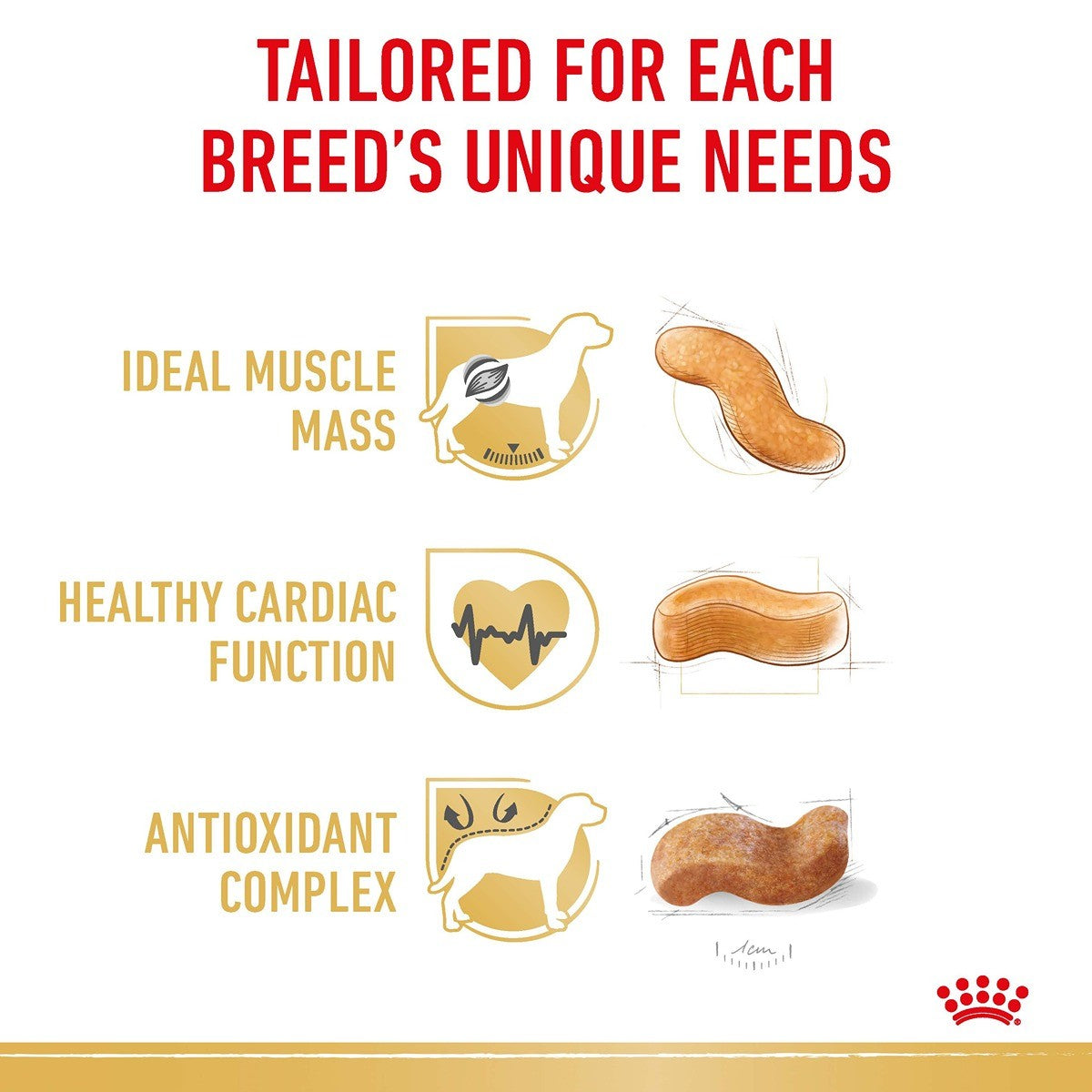 Royal Canin Boxer Dry Dog Food