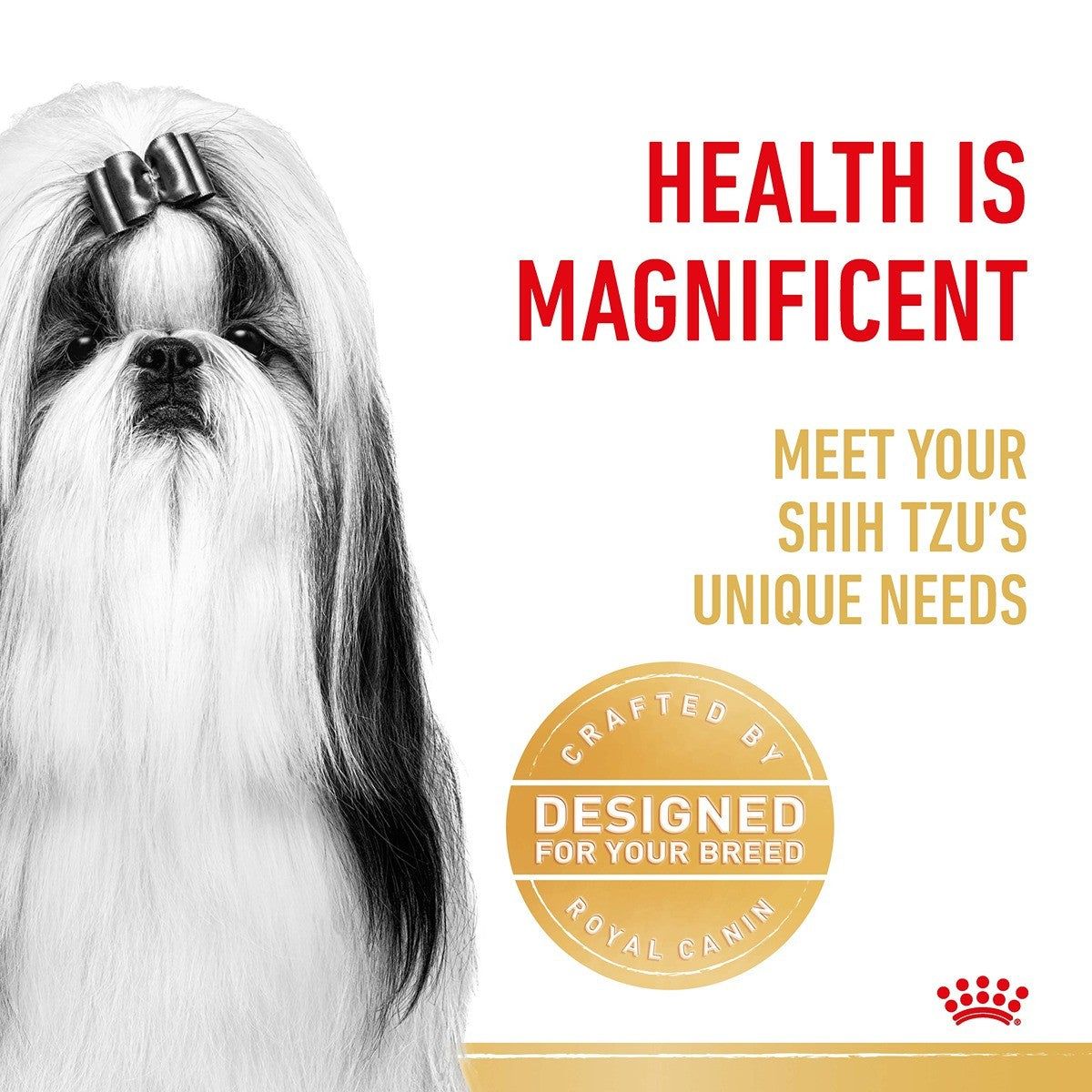 Royal Canin Shih Tzhu Adult Dry Dog Food