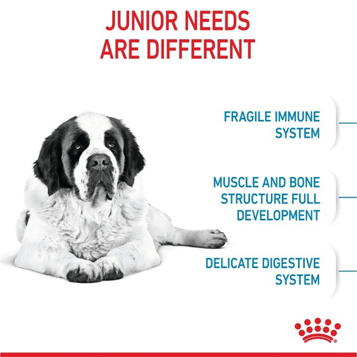 Royal Canin Giant Junior Dry Dog Food