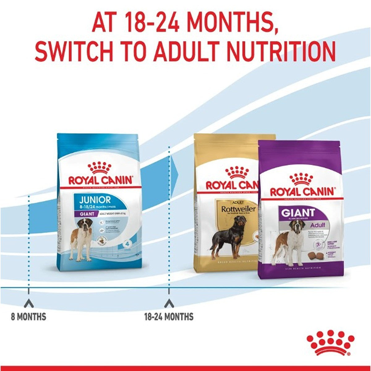 Royal Canin Giant Junior Dry Dog Food
