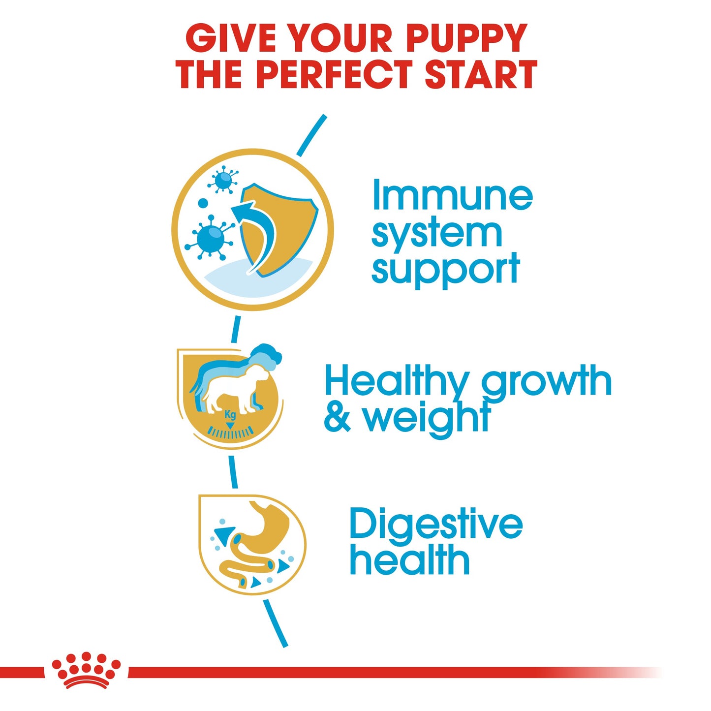 Royal Canin Labrador Puppy Dry Dog Food