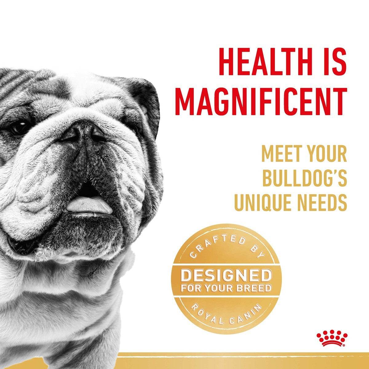Royal Canin Bulldog Dry Dog Food