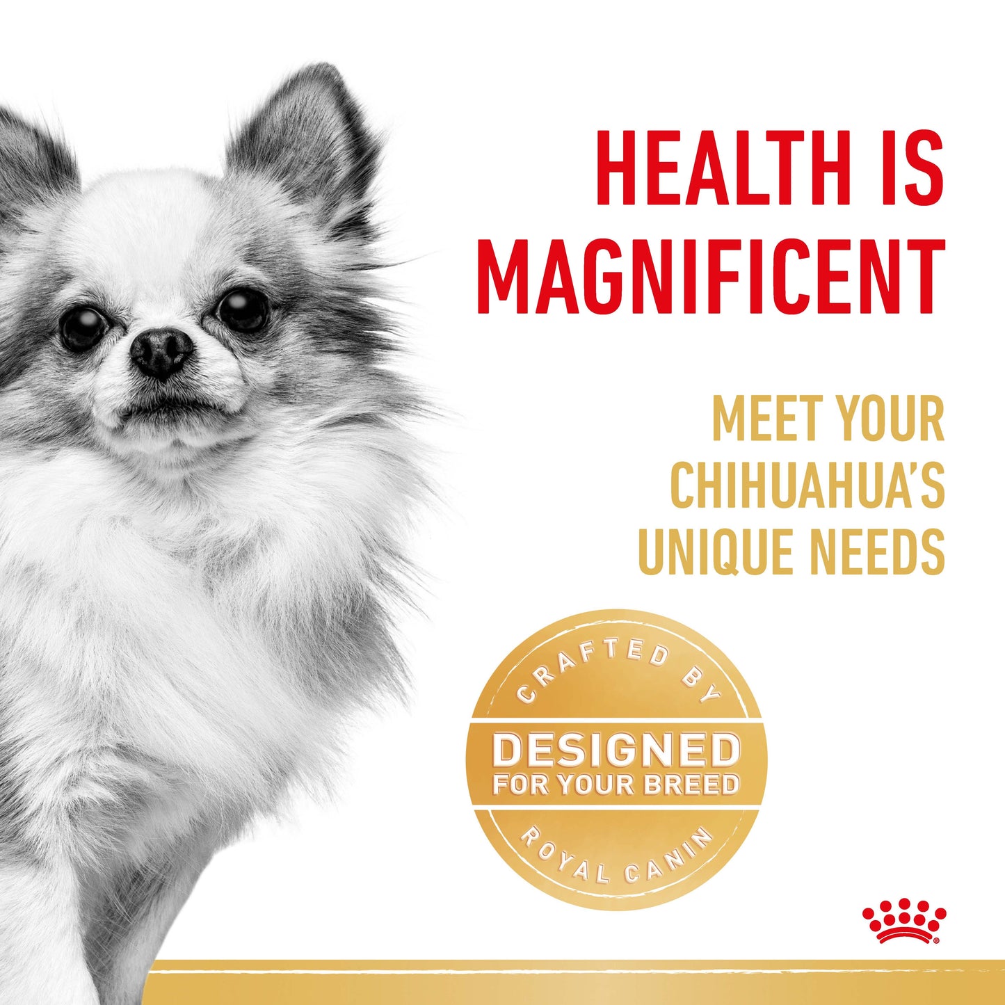 Royal Canin Chihuahua Adult Dry Dog Food