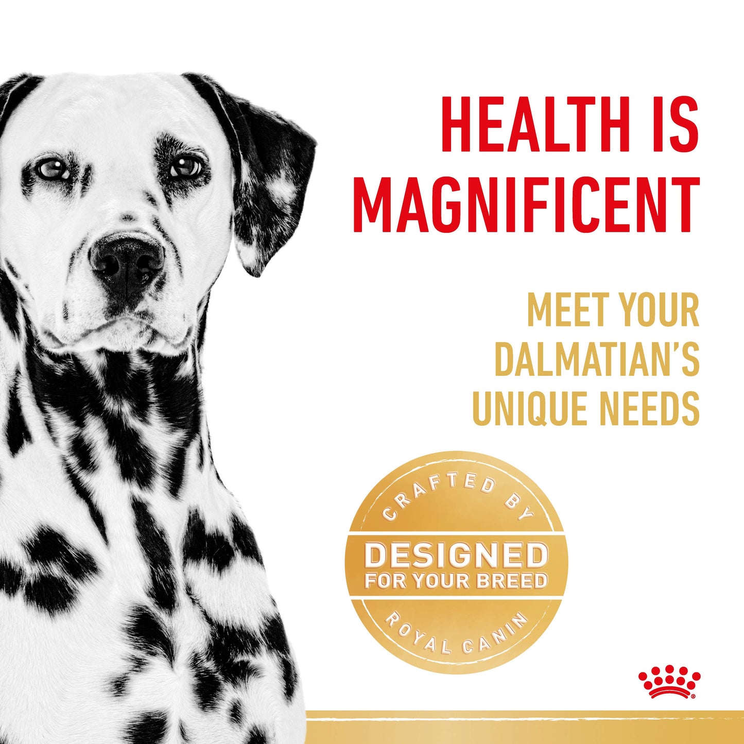 Royal Canin Dalmatian Dry Dog Food