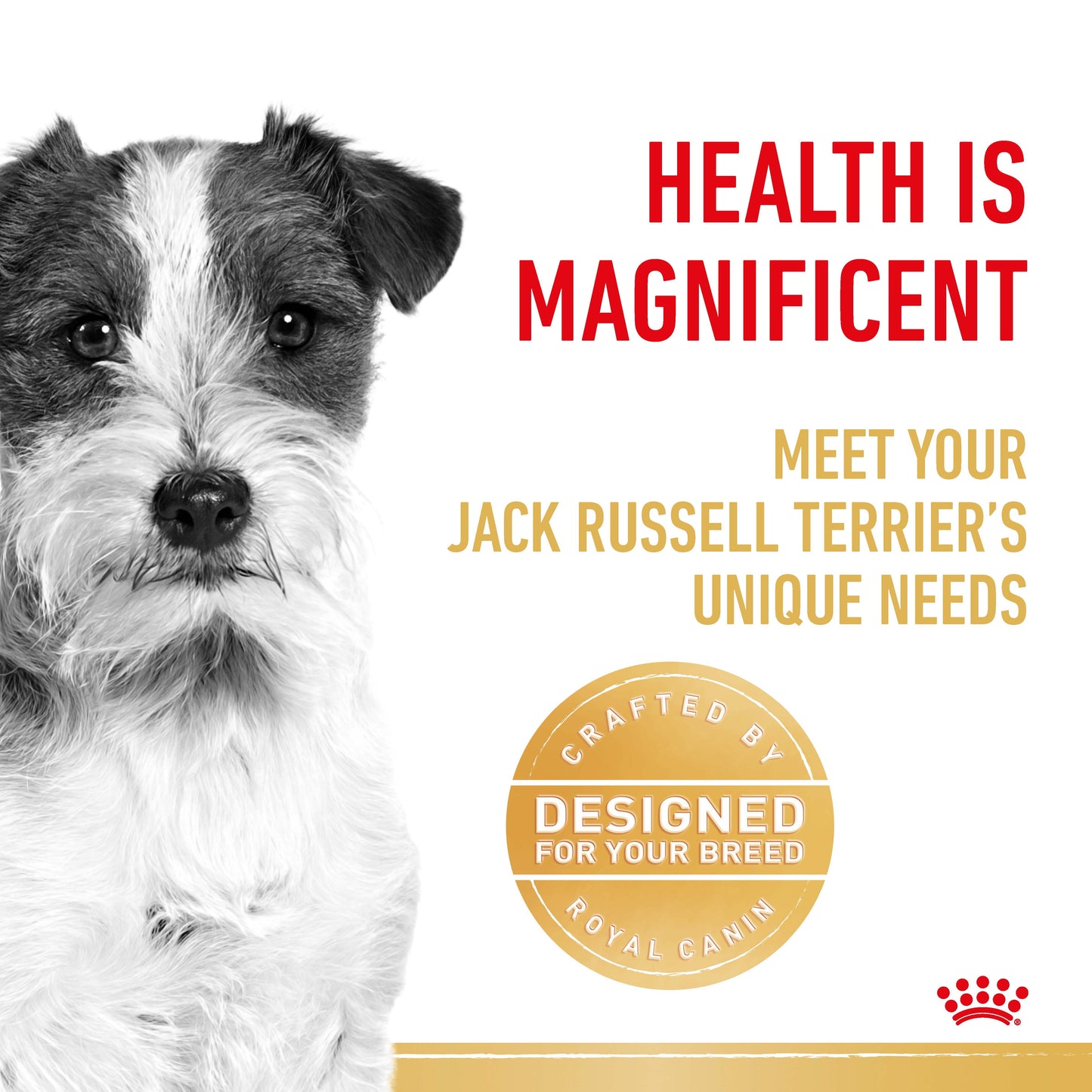 Royal Canin Jack Russell Terrier Dry Dog Food