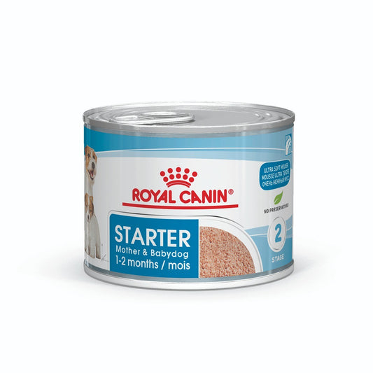 Royal Canin Mother & Babydog Starter Mousse Wet Dog Food