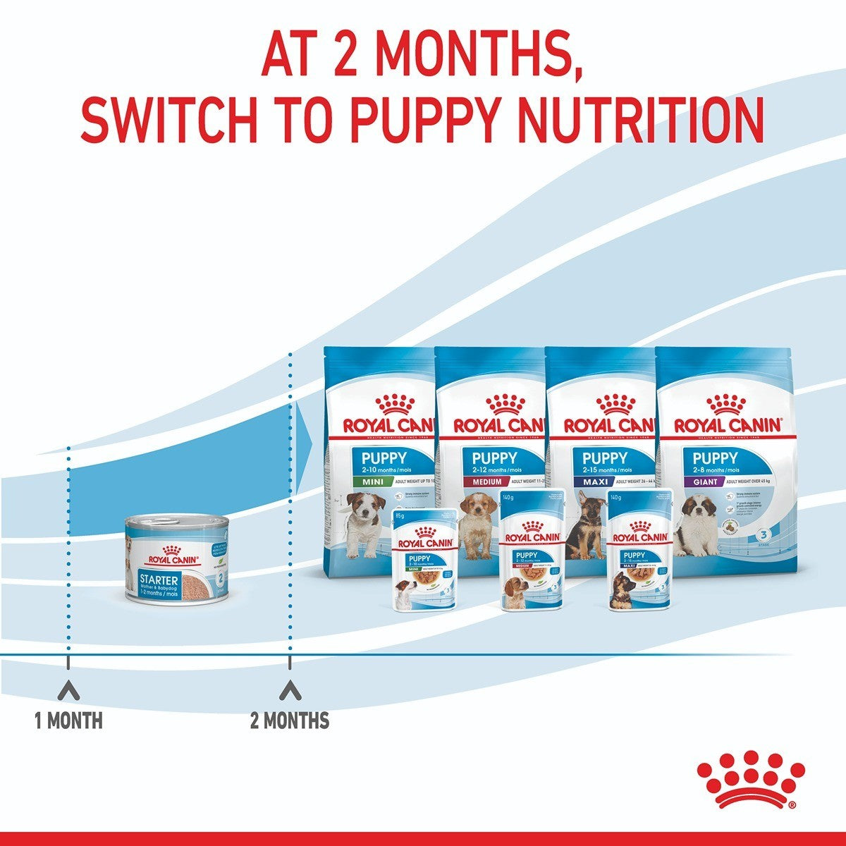 Royal Canin Mother & Babydog Starter Mousse Wet Dog Food