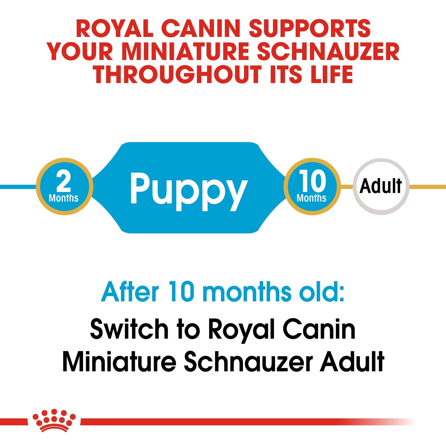 Royal Canin Puppy Mini Schnauzer Dry Dog Food