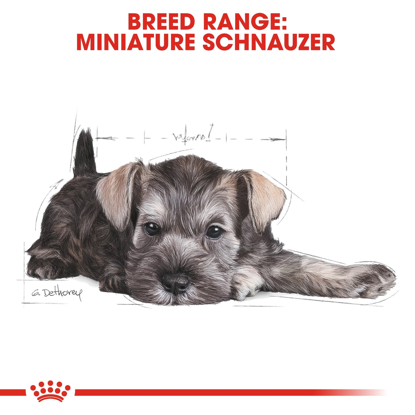 Royal Canin Puppy Mini Schnauzer Dry Dog Food