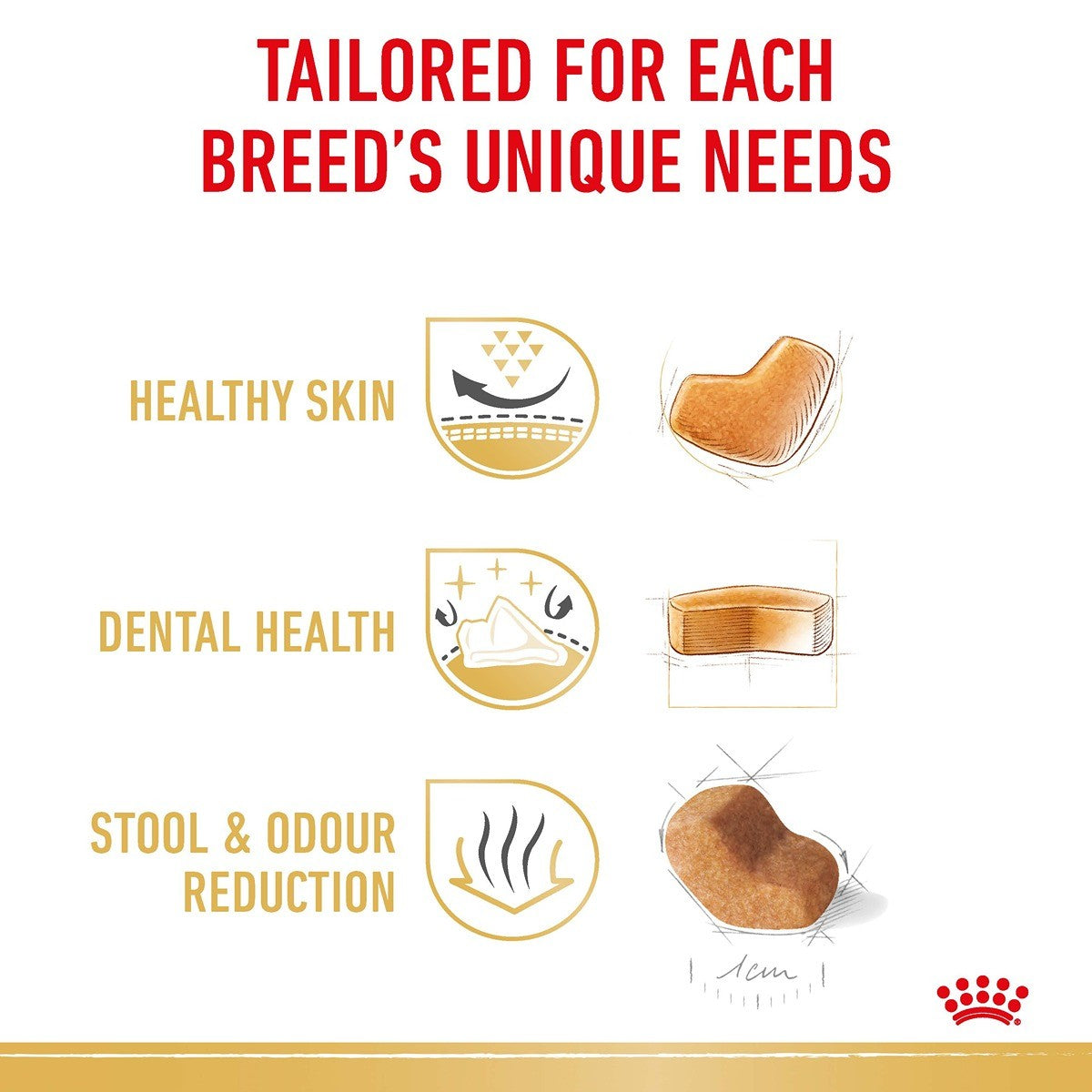 Royal Canin Shih Tzhu Adult Dry Dog Food