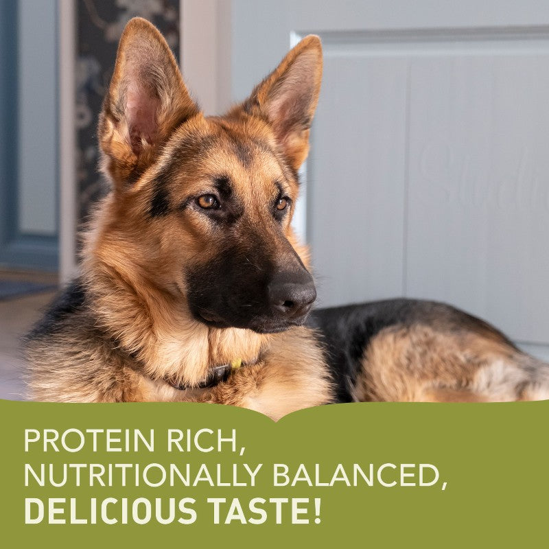 Acana Large Breed Adult Dry Dog Food